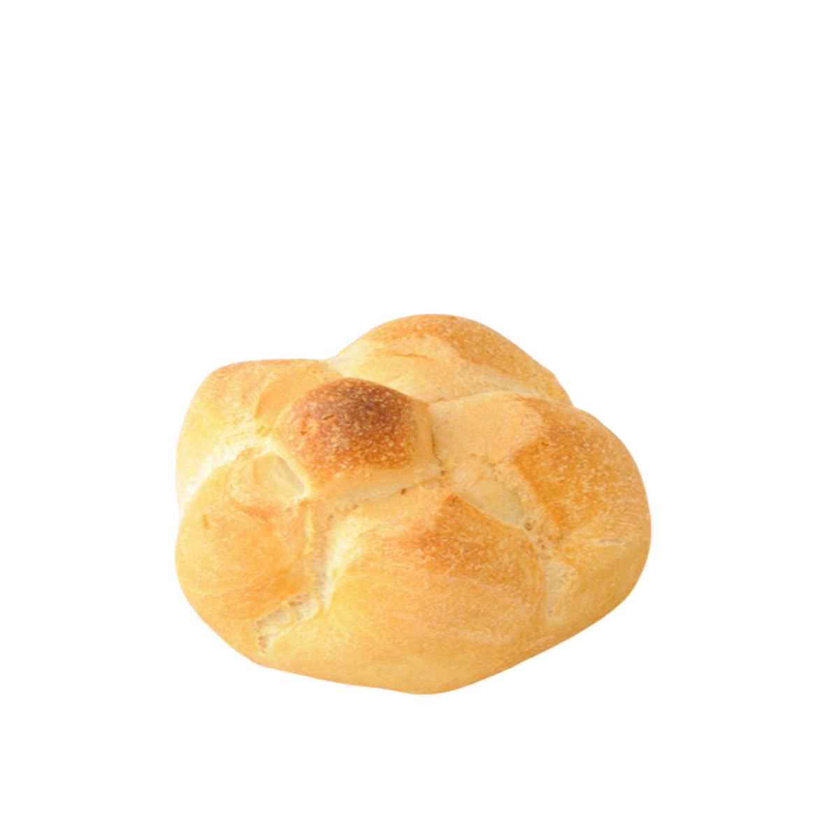 Rosetta